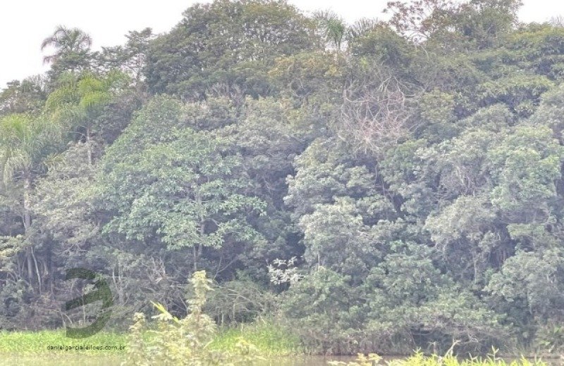 Fração de Imóvel em Maracajá/SC