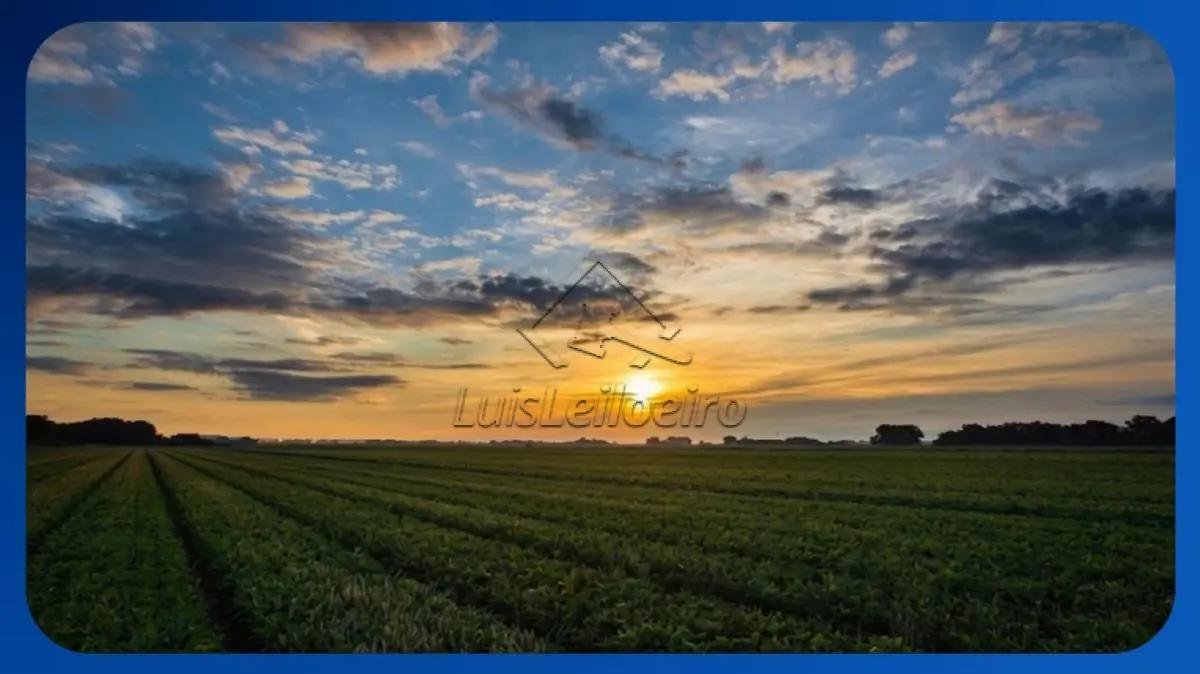 FAZENDA - Fazenda Irapuã, Lugar Tabocal, Santa Rita de Cássia/BA, Área de 1.876,00 hectare em Santa Rita de Cássia/BA