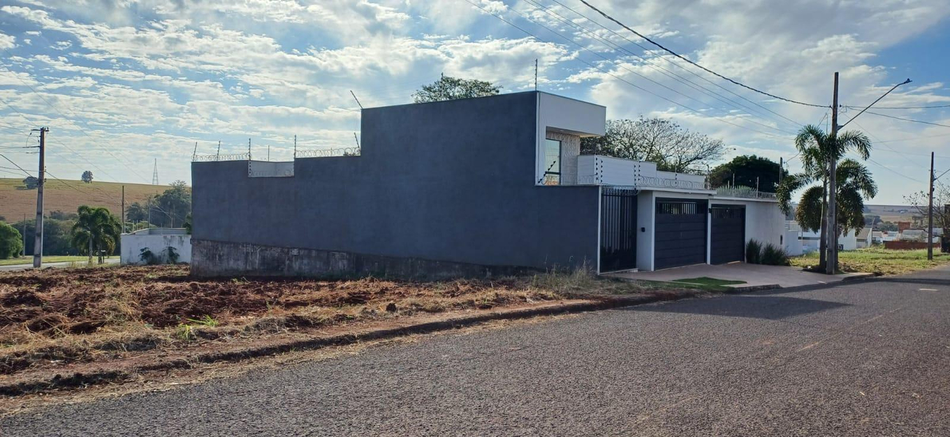 Imagem leilão