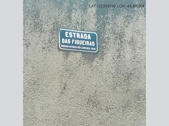 Imagem leilão