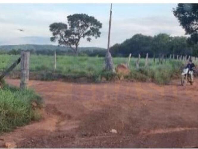 Imagem leilão