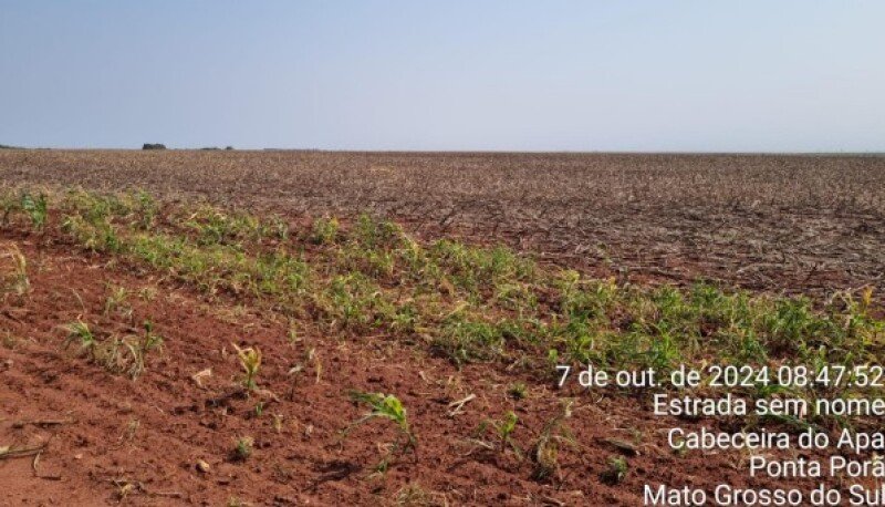 FRAÇÃO IDEAL correspondente a 100HA FAZENDA SÃO MATHEUS IV em Ponta Porã/MS - foto 3