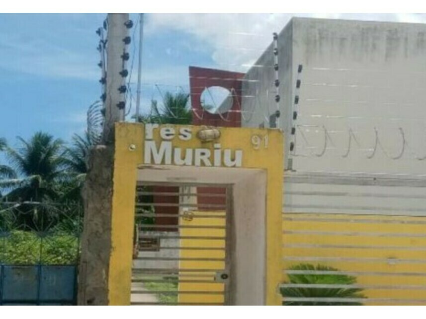 Imagem leilão
