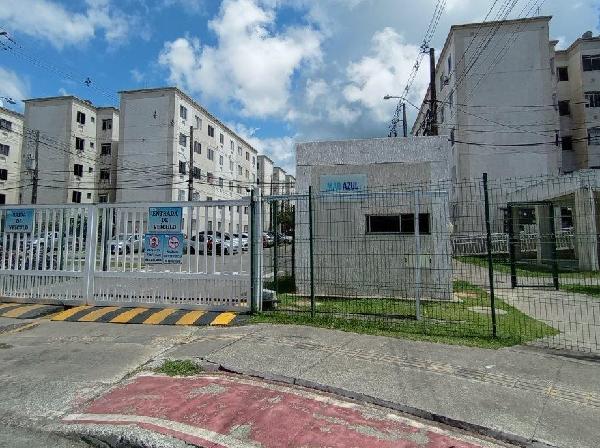 Imagem leilão