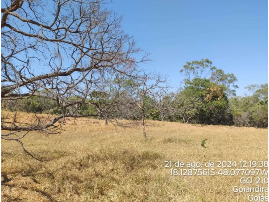 Imagem leilão