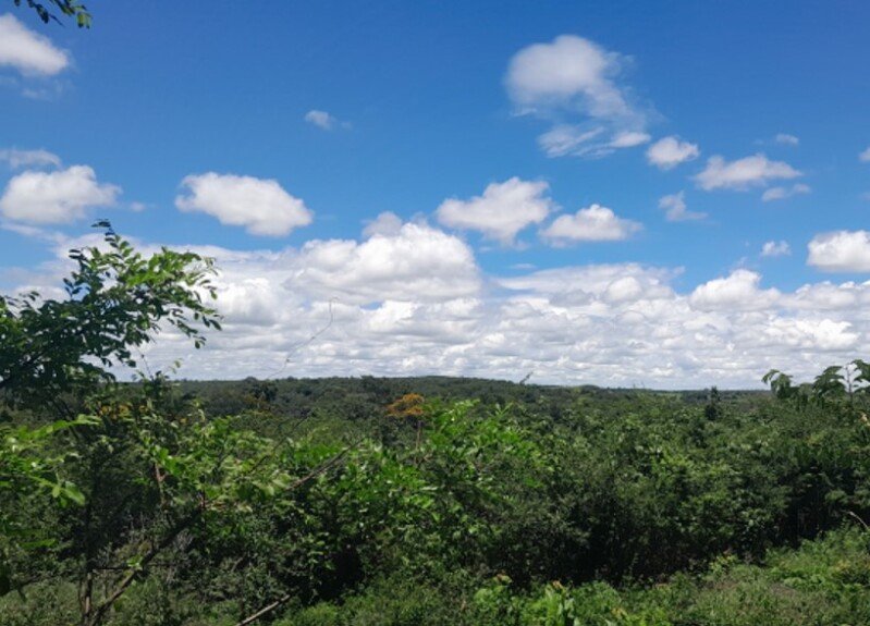 BAHIA - CORIBE/BA - FAZENDA/ÁREA RURAL em Coribe/BA - foto 3