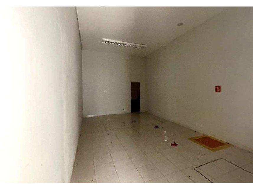 Imagem leilão
