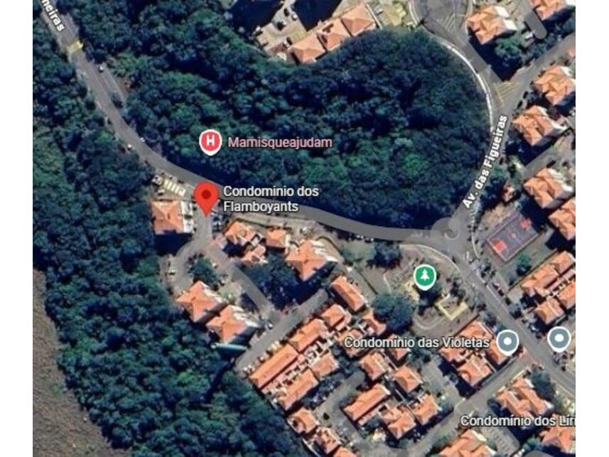 Imagem leilão