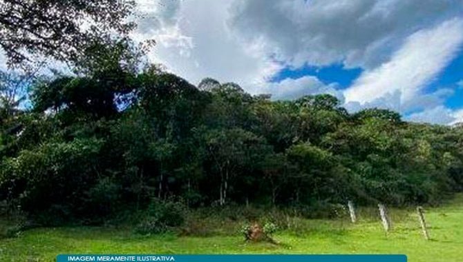 Imagem leilão