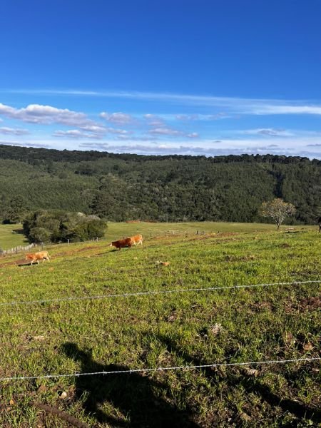 Área com 248.200,00 m² no Marmeleiro em Catanduvas/SC - foto 5