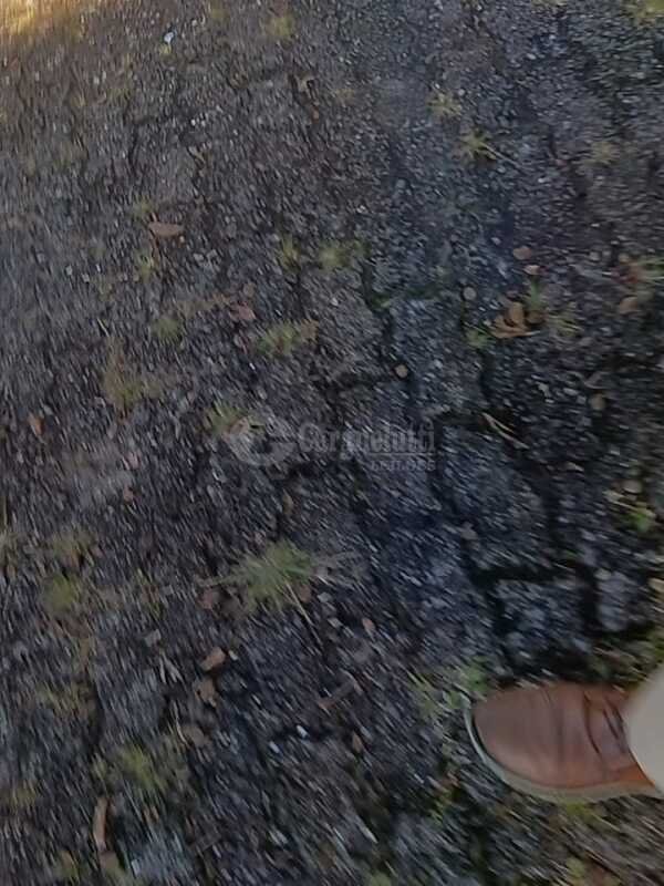 Três prédios de alvenaria, situados à rua Padre Pacheco.. em Cruz Alta/RS - foto 14