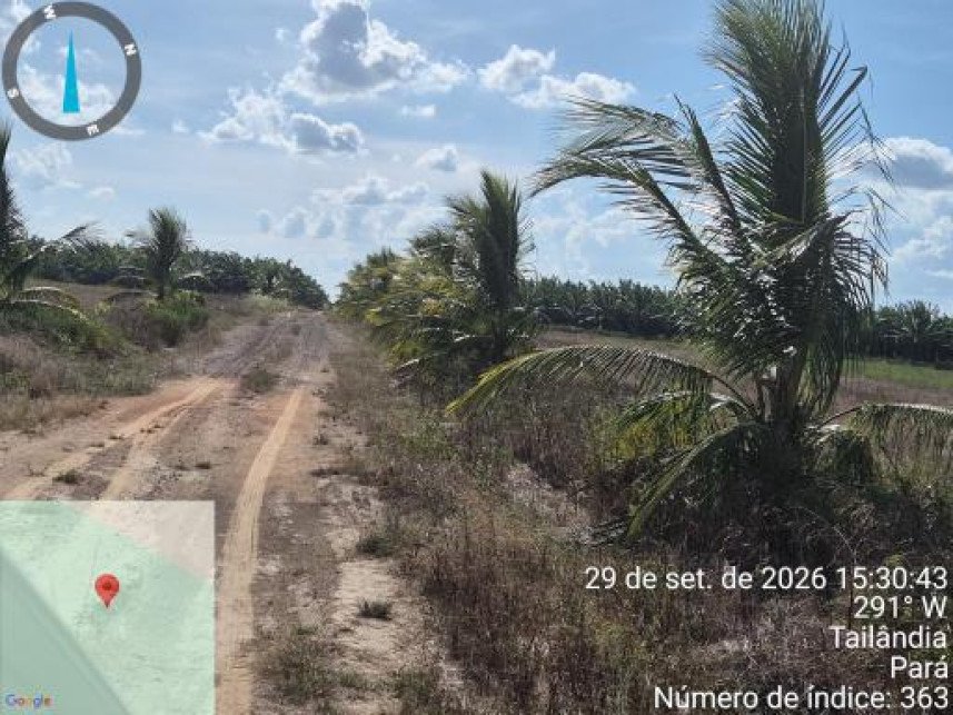 Área Rural à venda em leilão - Colônia Tailândia, Km 25, s/n - Interior - Tailândia / PA em Tailândia/PA - foto 12