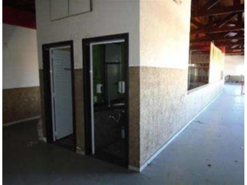 Imagem leilão