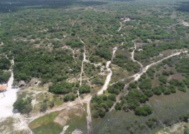 Uma Gleba de Terras de 10.000.ha em Belágua/MA em Belágua/MA