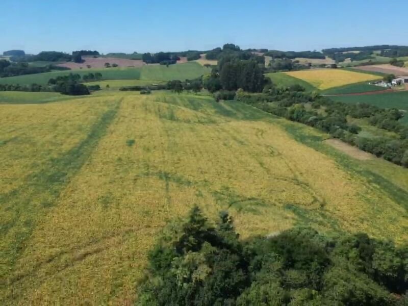 OS DIREITOS E AÇÕES DA FRAÇÃO IDEAL DE 8.410,71m² SOBRE.. em Áurea/RS - foto 12