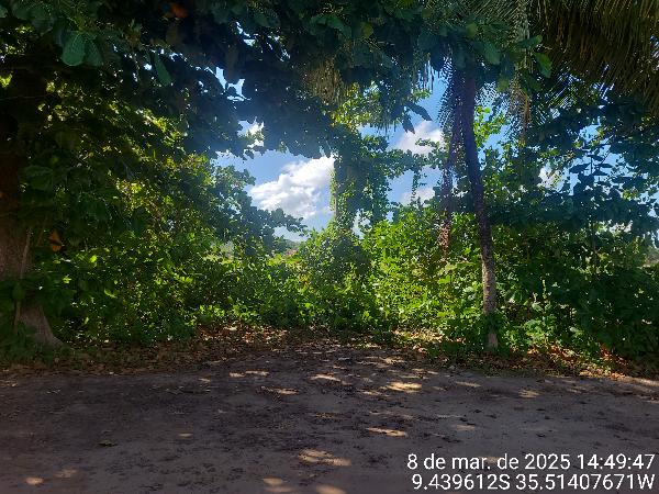 Imagem leilão