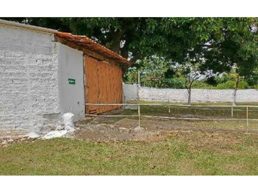 Imagem leilão