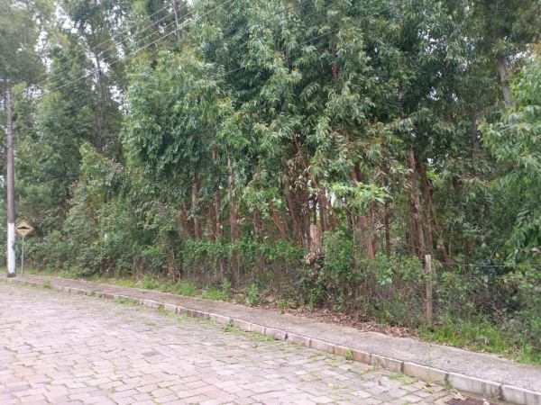 LOTE 2: UMA ÁREA DE TERRAS URBANAS COM 1.633,80 M², EM CAMINHOS DA EULÁLIA, BENTO GONÇALVE em Bento Gonçalves/RS - foto 3