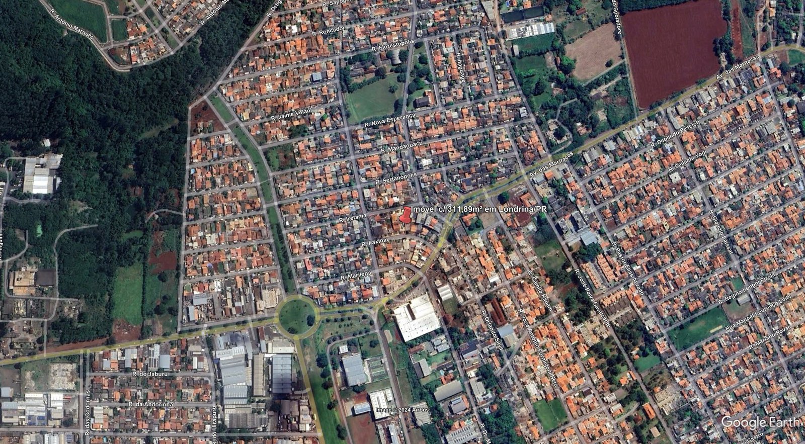 Imagem leilão