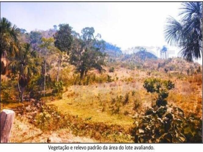 Imagem leilão