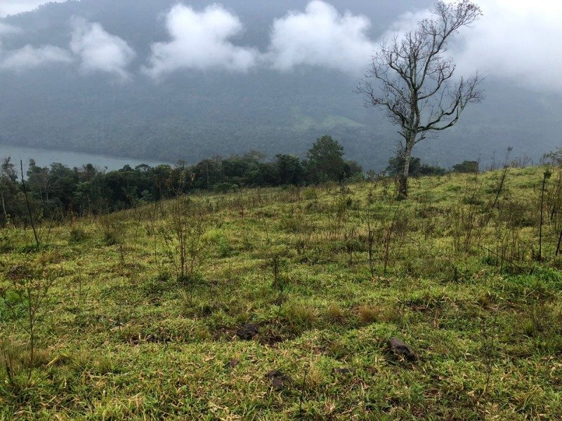 A FRAÇÃO IDEAL DE 50% (128.750,00M²) SOBRE O LOTE RURAL.. em Erval Grande/RS - foto 24