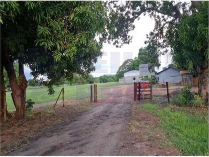 Imagem leilão