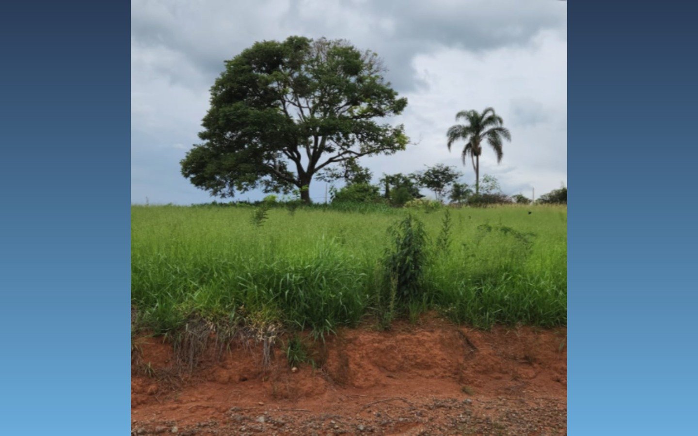 Terreno 1.000m² — Carmópolis de Minas/MG em Carmópolis de Minas/MG