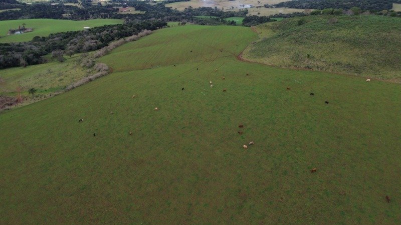 [4.151] [ 5.313] [727] PROPRIEDADES RURAIS 18 ALQUEIRES.. em Anita Garibaldi/SC - foto 6
