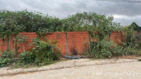 Imagem leilão