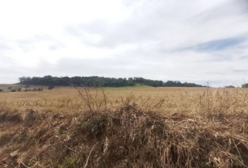Terreno com 133.378,00 m² em Linha Alvorada em Concórdia/SC - foto 6