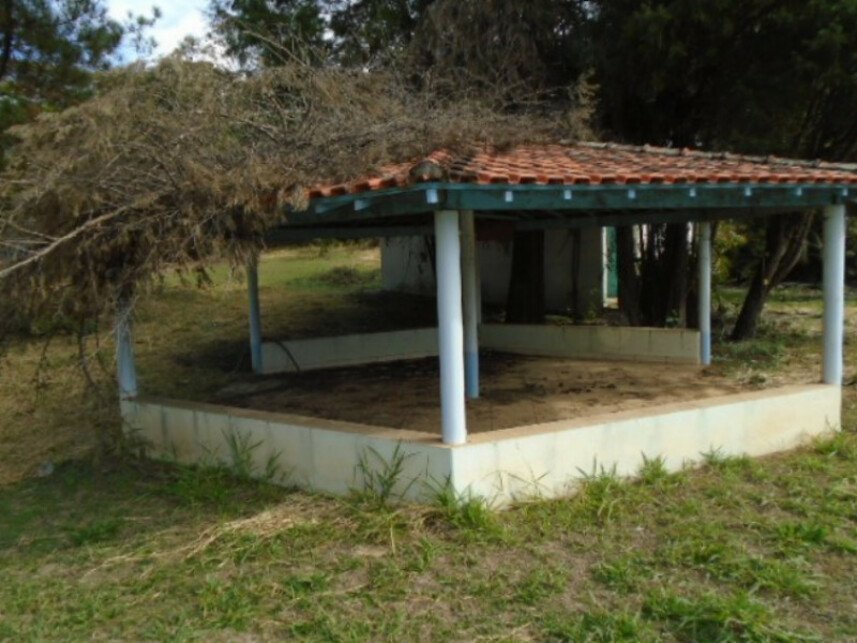 Imagem leilão