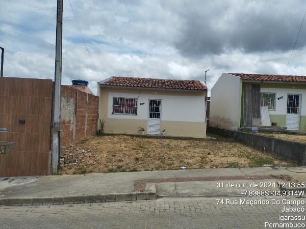Imagem leilão
