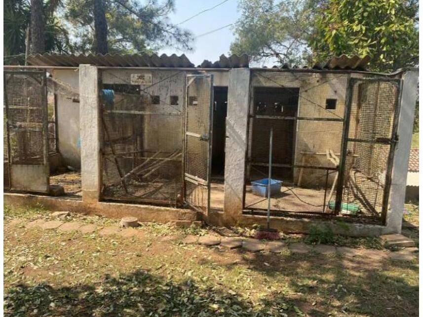 Imagem leilão