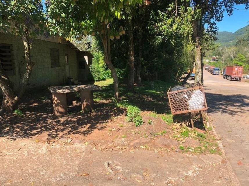 Imagem leilão