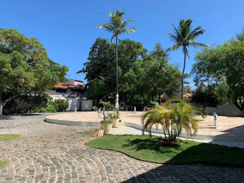 Imagem leilão