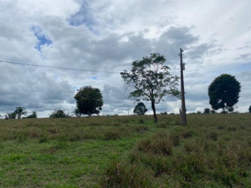 Imagem leilão