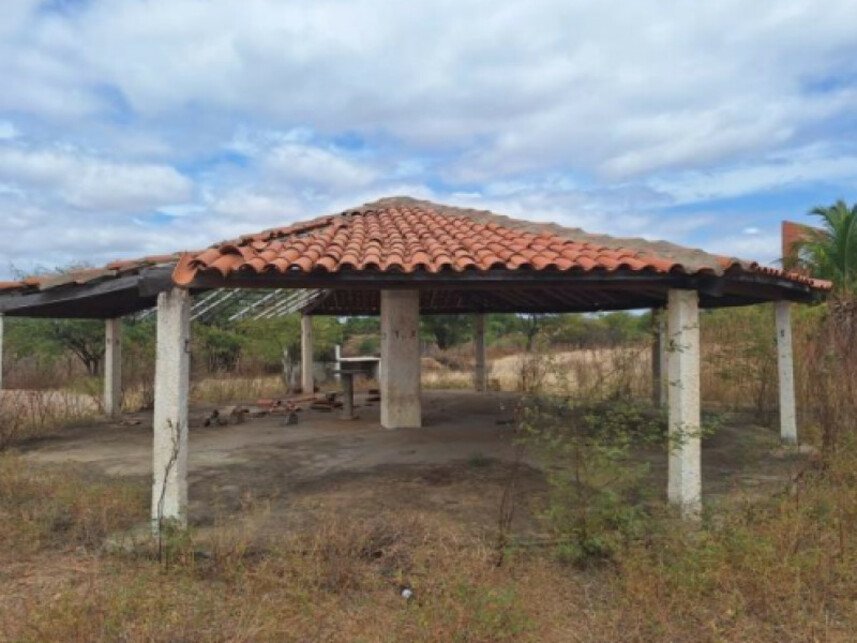 Imagem leilão