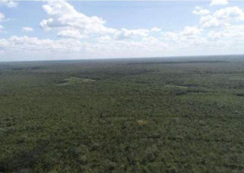 Uma Gleba de Terras com 3.619.80ha em Belágua/MA em Belágua/MA