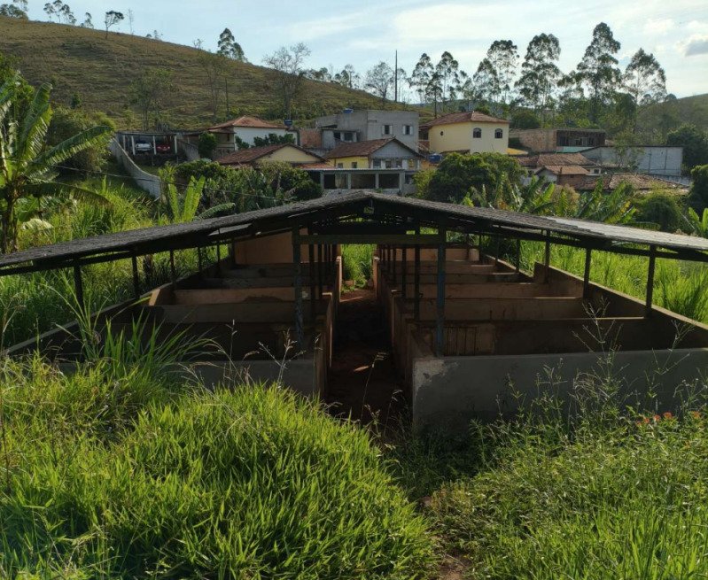 FAZENDA HAVAÍ COM ÁREA DE 33,7590 HA, COM GALPÃO E ESCR.. em Cristiano Otoni/MG - foto 9