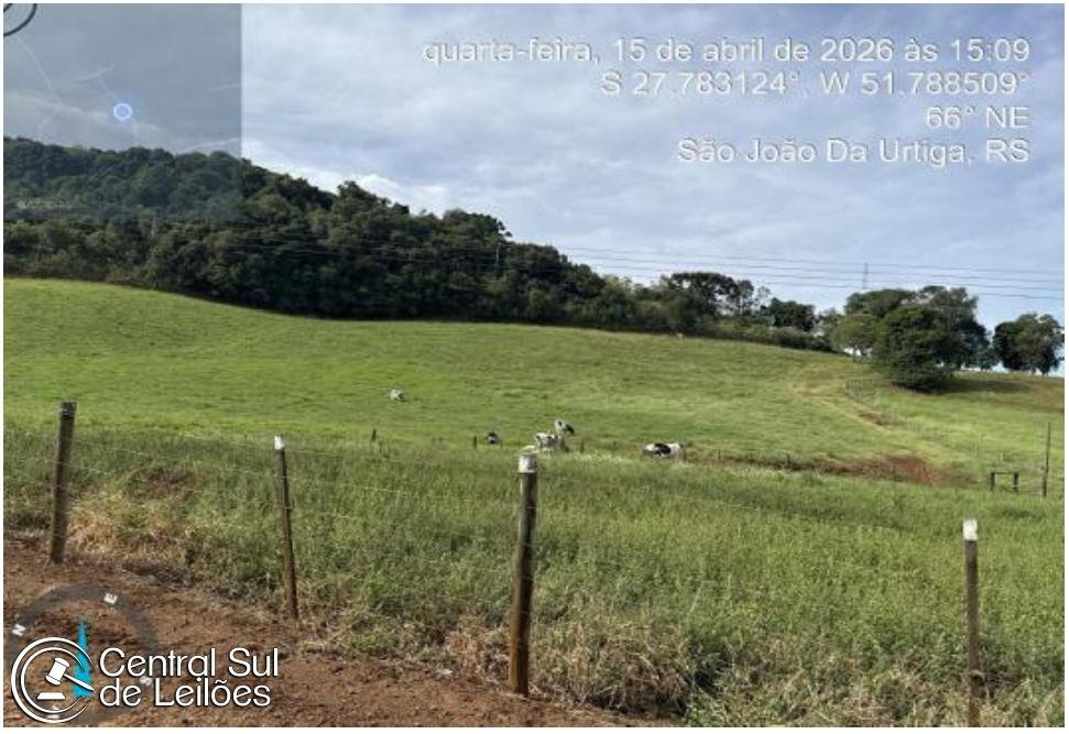Imagem leilão