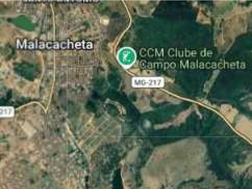 Imagem leilão