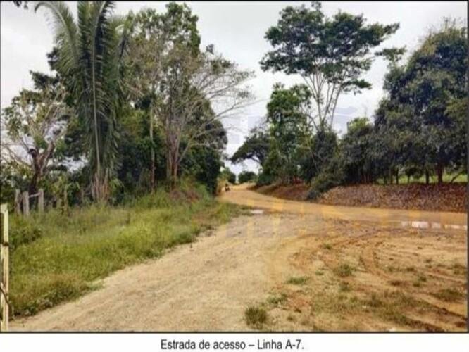 Imagem leilão