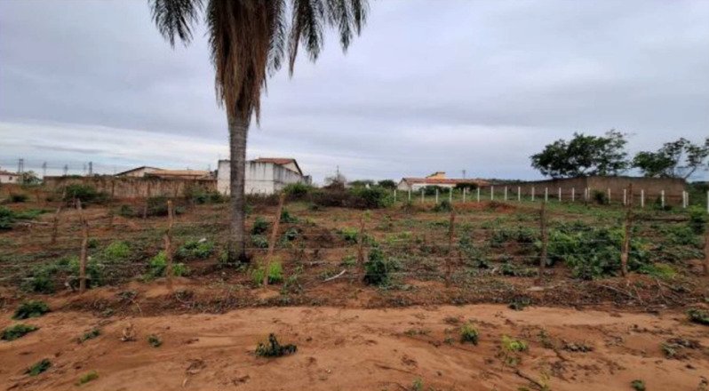 CEARÁ - CRATO/CE - TERRENO em Crato/CE - foto 5