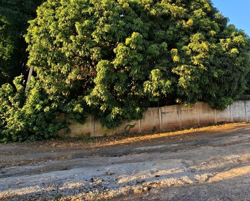 TERRENO RESIDENCIAL com 2.904m² localizado entre as Rua.. em Brodowski/SP - foto 2