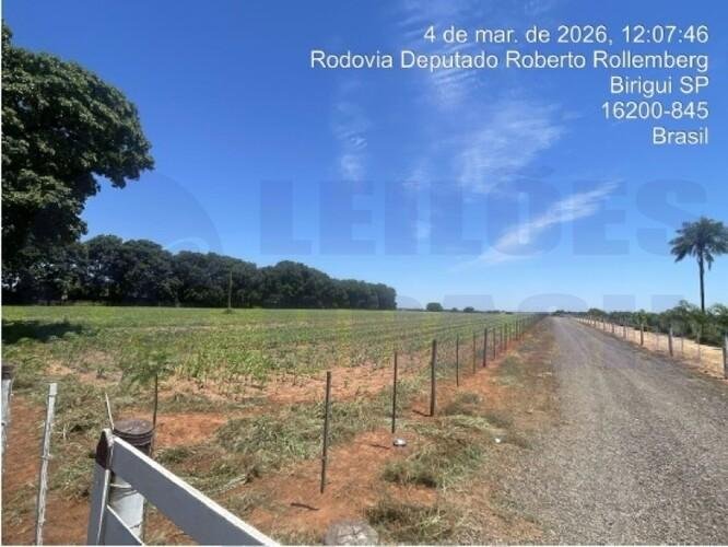 Imagem leilão