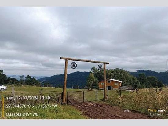 Imagem leilão