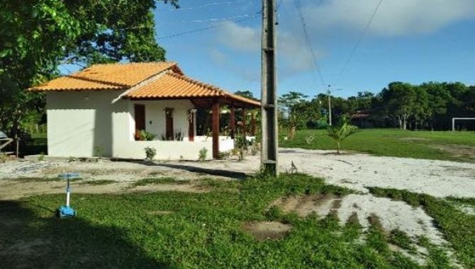 Imagem leilão