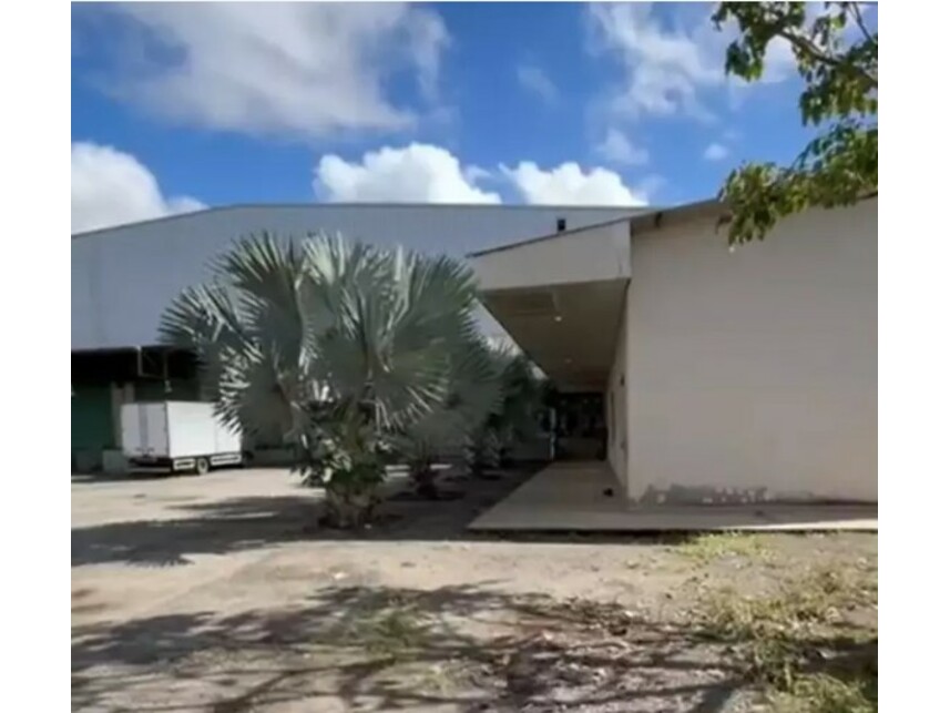 Imagem leilão
