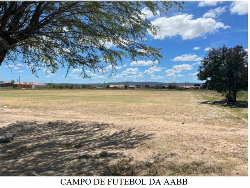 Imagem leilão