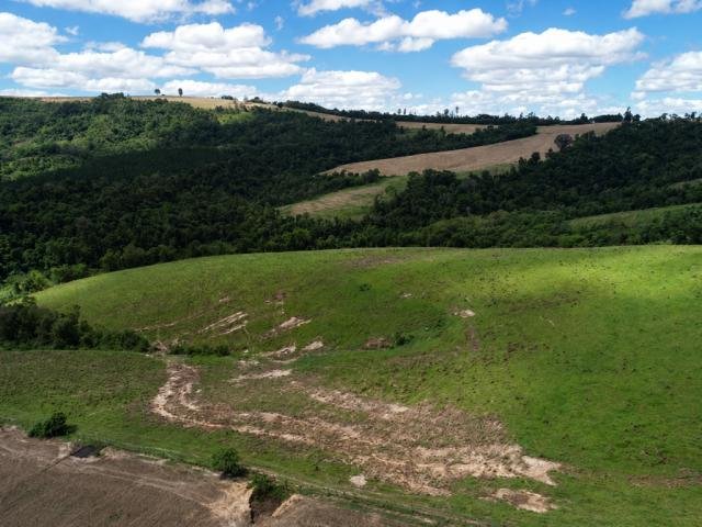
                        Imóvel Rural, 29,04 hectares, Itaberá/SP                     em Itaberá/SP - foto 4